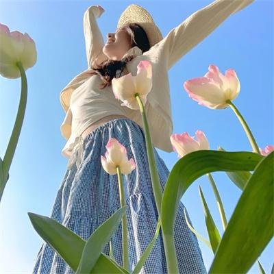 美国派：高潮再起